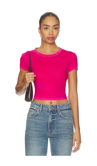 Cotton Citizen The Standard Baby Tee In Pink