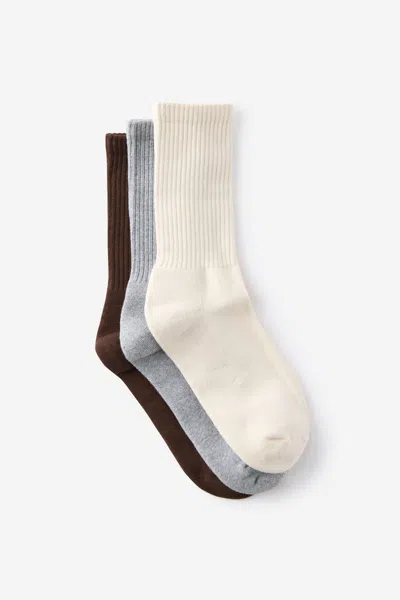 Cotton On 3 Pack Essential Crew Socks In Brown