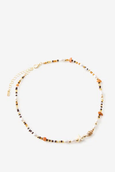 Cotton On Beaded Necklace In Multi