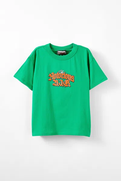 Cotton On Kids' Biggie Music Drop Shoulder Short Sleeve Tee In Green