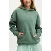 Cotton On Body Plush Premium Graphic Hoodie In Emerald Forest Heritage