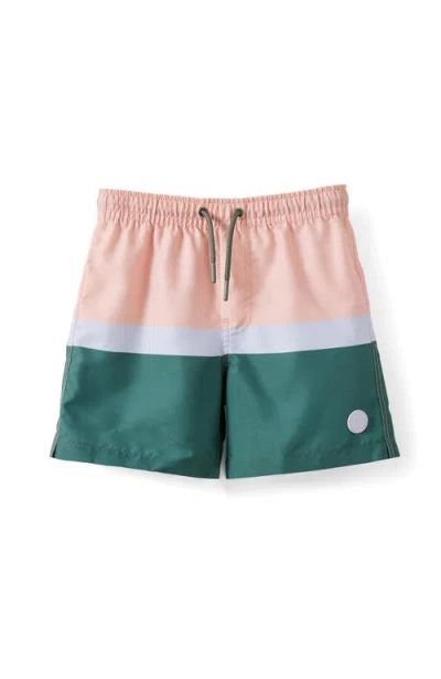 Cotton On Kids Kid's Bailey Board Short In Multi