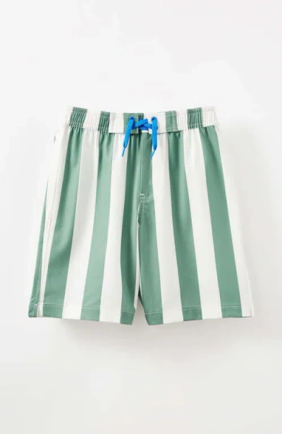 Cotton On Babies'  Kids Kid's Bobby Stretch Board Short In Moss Green Vanilla Block