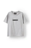 Cotton On Kids Kid's Licensed Drop Shoulder Short Sleeve Tee In Lcn Mt Fog Grey Marle Ice