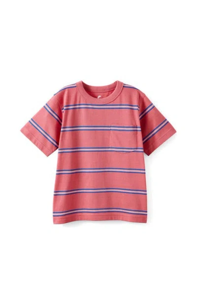 Cotton On Kids Kid's The Essential Short Sleeve Tee In Multi