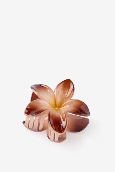 Cotton On Lily Hair Claw In Brown