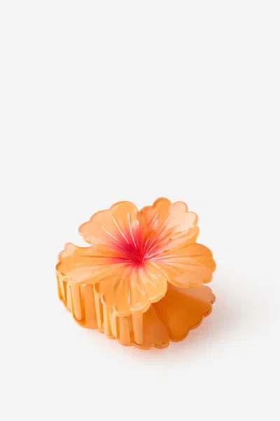 Cotton On Lily Hair Claw In Multi