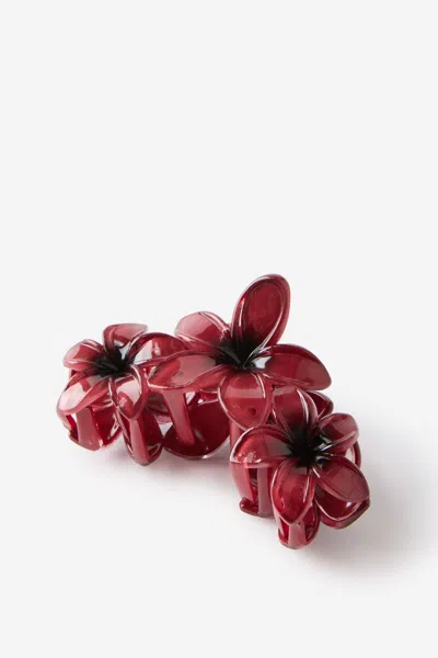 Cotton On Lily Hair Claw In Multi