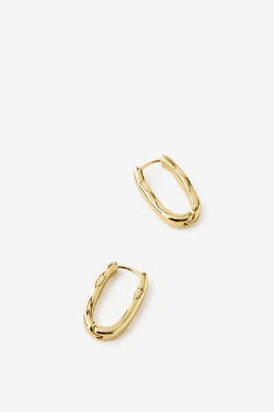 Cotton On Premium Plated Mid Hoop Earring In Gold