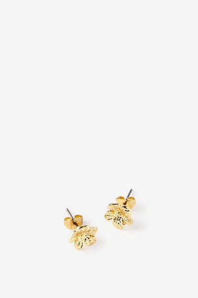 Cotton On Small Charm Earring In Gold