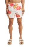 Cotton On Stretch Swim Short In Multi