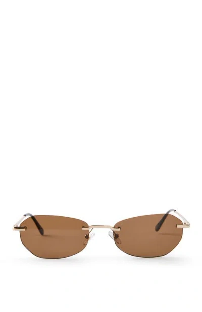 Cotton On The Dot Com Sunglasses In Brown