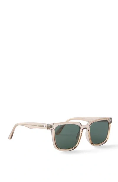 Cotton On The Everyday Sunglasses In Brown Crystal Dark Green