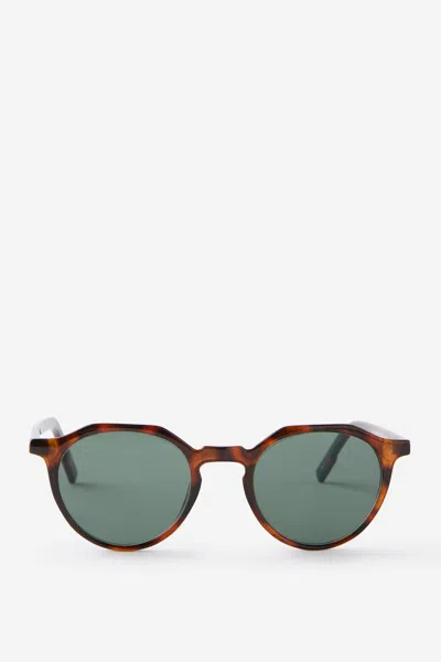 Cotton On The Sundown Sunglasses In Dark Tort/dark Green