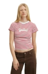 Cotton On The Tiny Graphic Tee In Red