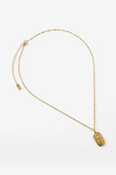 Cotton On Waterproof Pendant Necklace In Gold Hammerd Coin Stone Zodiac Leo