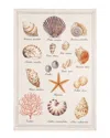 Coucke Set Of 2 Seashells Tea Towels