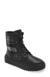 Cougar Apex Lace-up Boot In Black