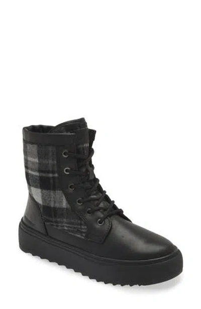 Cougar Apex Lace-up Boot In Black