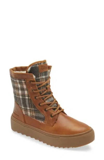 Cougar Apex Lace-up Boot In Butternut