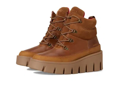 Cougar Niloa In Brown