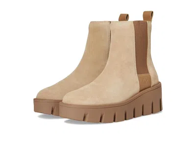 Cougar Noura In Brown