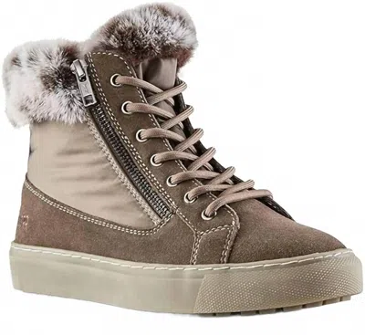 Cougar Women's Dubliner Boot In Stone In Multi