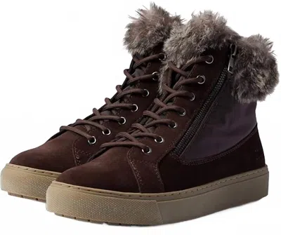 Cougar Women's Dubliner Waterproof Boot In Cocoa In Brown