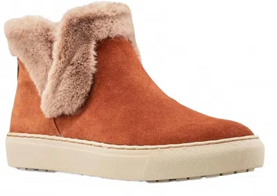 Cougar Women's Duffy Boot In Brown