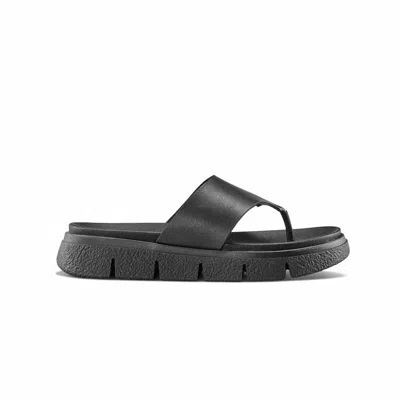 Cougar Women's Ponyo Sandal In Black