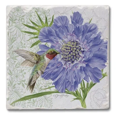 Counterart Absorbent Stone Beverage Coasters - Set Of 4 - Scabiosa In Purple,green,white