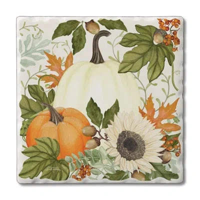 Counterart Farmhouse Pumpkins 1 Pack Single Absorbent Stone Coaster In White,orange,green