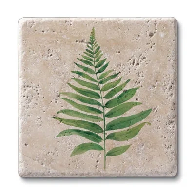 Counterart Fern Study 4 Pack Natural Travertine Absorbent Stone Coasters With Protective Cork Backing In Light Brown,green