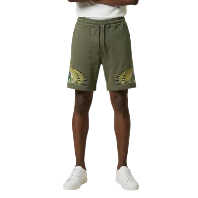 County Of Milan Embroidered Bird Motif Cotton Bermuda Shorts In Green