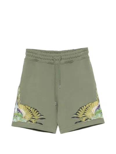 County Of Milan Wings-motif Shorts In Green