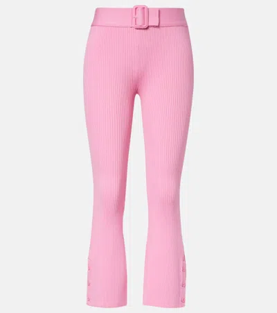 Courrèges Belted Ribbed-knit Capri Pants In Pink