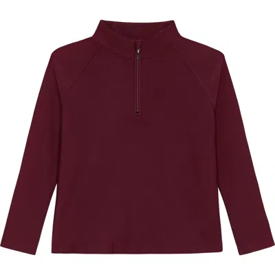 Courtside Kids Boys Half Zip In Burgundy