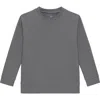 Courtside Kids Boys Pullover Sweatshirt In Gray