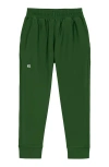 Courtside Kids Boys Warm-up Jogger Pant In Green