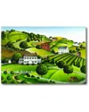Courtside Market Apple Valley Canvas Wall Art