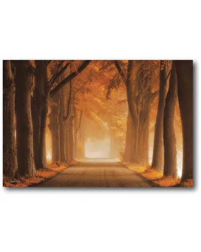 Courtside Market Autumn Lane Gallery-wrapped Canvas Wall Art In Brown