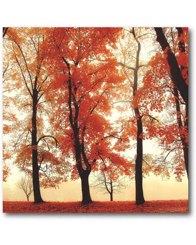 Courtside Market Autumnglow Gallery-wrapped Canvas Wall Art In Orange