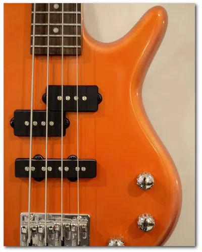 Courtside Market Bass Canvas Wall Art In Orange