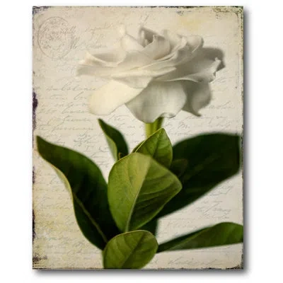 Courtside Market 'beautiful Gardenia I' Painting Print On Wrapped Canvas In Green;beige