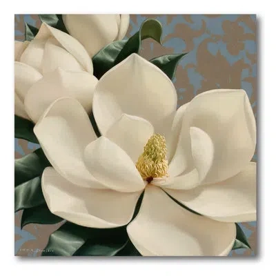 Courtside Market Dolce Magnolia Painting Print On Wrapped Canvas In White