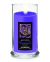 Courtside Market Halloween Collection Eat, Drink, & Be Scary Witch's Brew Cranberry Soy Wax Candle In Multi