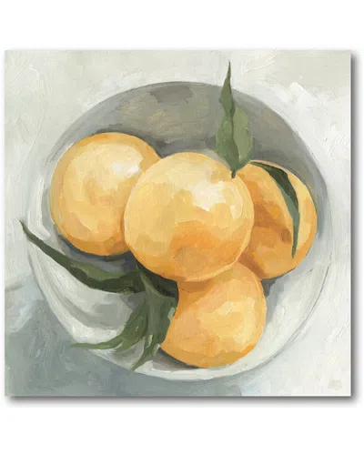 Courtside Market Lemon Fruit Bowl Ii In Multi