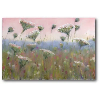 Courtside Market 'queen Anne's Lace' Drawing Print On Wrapped Canvas In Green;pink
