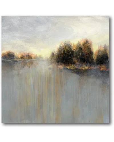 Courtside Market Rainy Sunset Ii In Multi