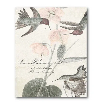 Courtside Market Soft Hummingbirds Canvas Art In Multi